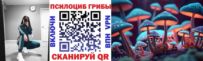 Псилоцибиновые грибы прущие грибы darknet официальный сайт Шацк